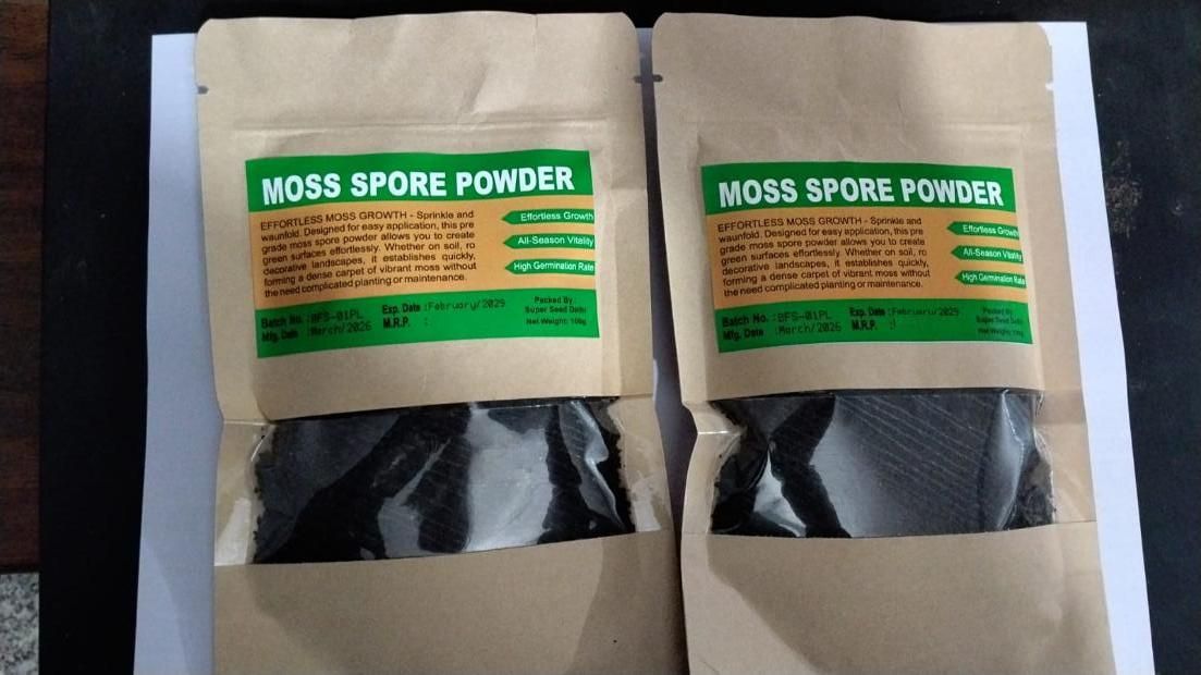 Moss Spore Powder Seeds 100gm (Pack of 1)