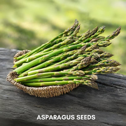 ASPARAGUS Seeds With Free Plant Growth Serum (Pack of 2)