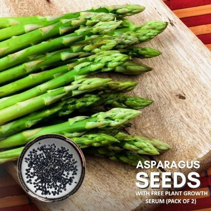 ASPARAGUS Seeds With Free Plant Growth Serum (Pack of 2)