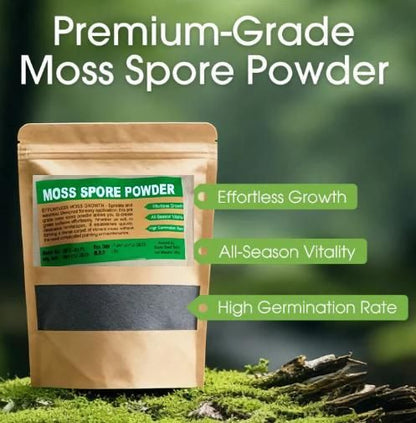 Moss Spore Powder Seeds 100gm (Pack of 1)