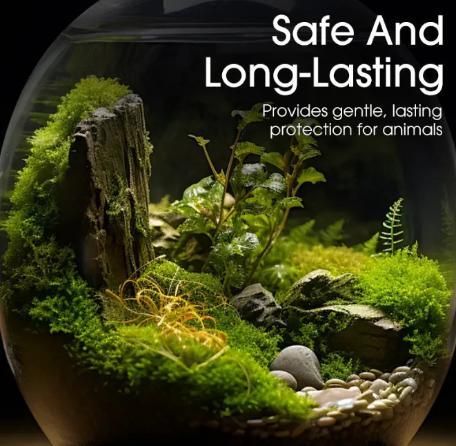 Moss Spore Powder Seeds 100gm (Pack of 1)