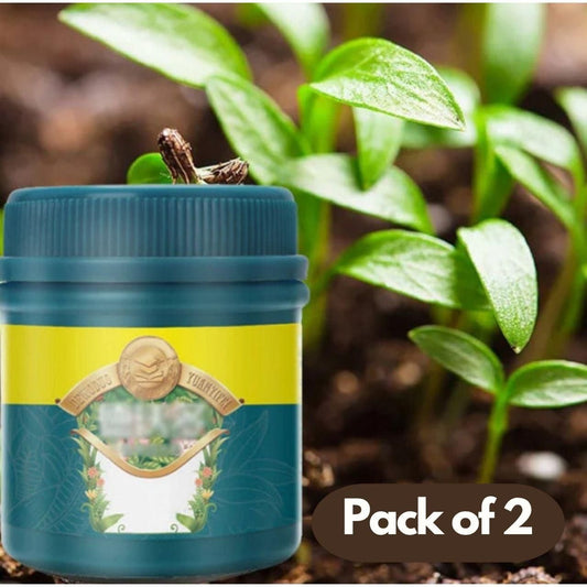 Professional Lawn Fertilizer 100 gm each Pack of 2